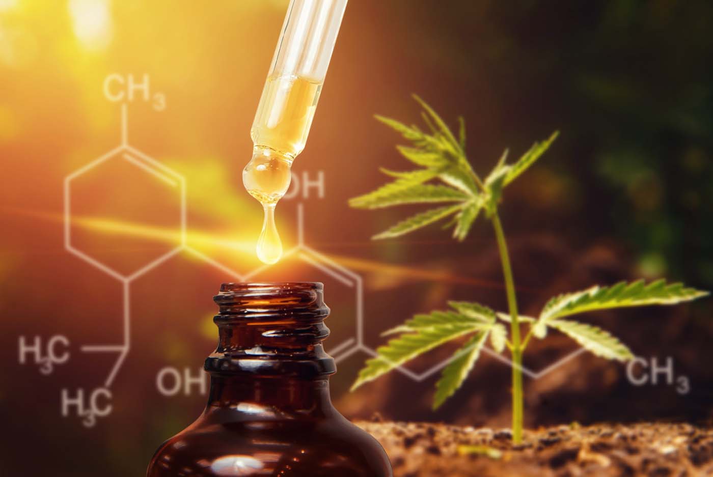 Is Marijuana Good or Bad For Panic Attacks