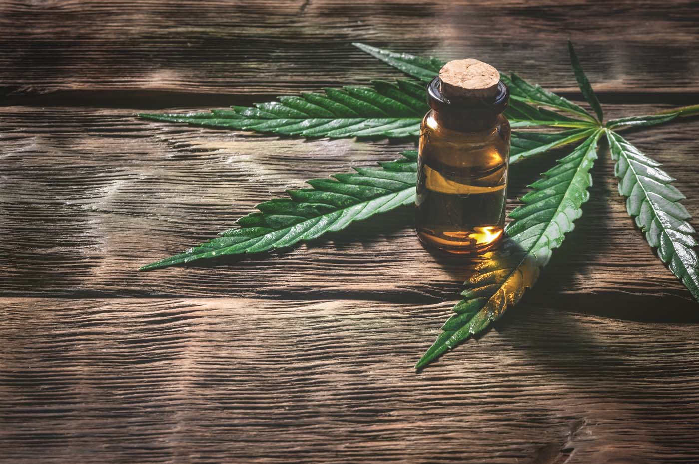 CBD and Marijuana