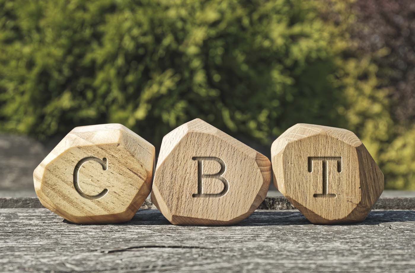 CBT-blocks