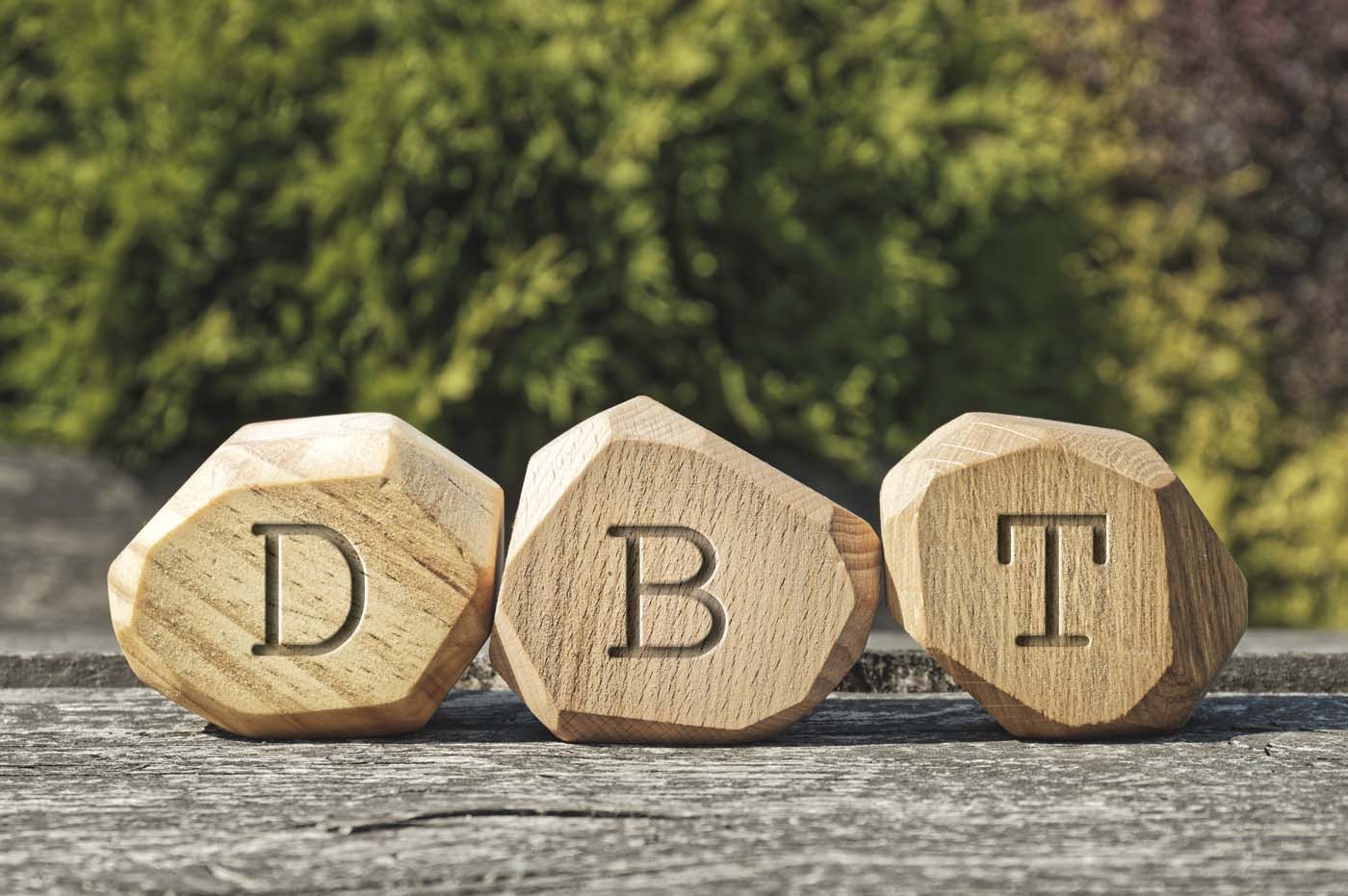 DBT-Blocks